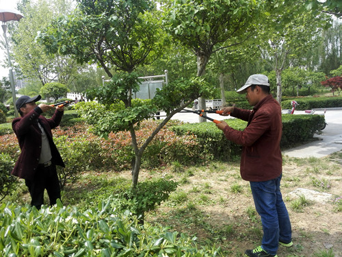 周口公園全力打造舒適游園環(huán)境