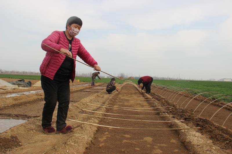 疫情防控、春耕生產(chǎn)兩手抓