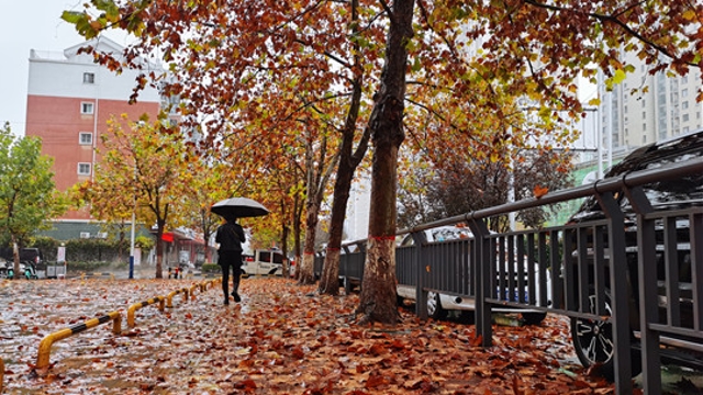 雨中周口，別有一番韻味