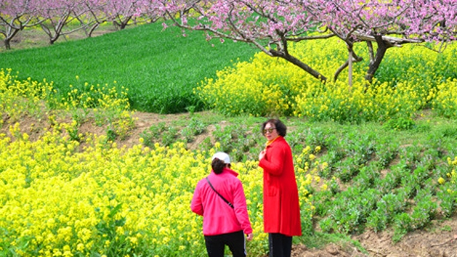 西華縣黃橋鄉(xiāng)農旅興促旺鄉(xiāng)村經濟